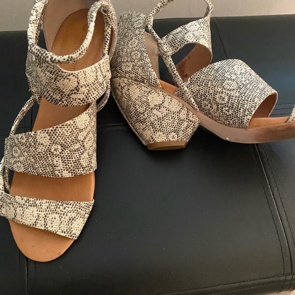 Corso Como Snakeskin